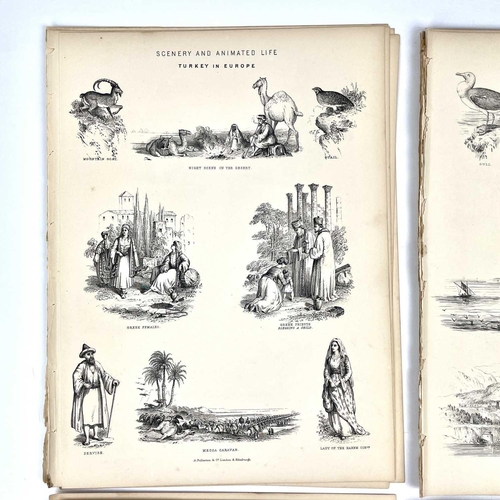 409 - MAPS and PLATES A collection of loose-leaved maps and plates from the publishers A. Fullerton & Co a... 