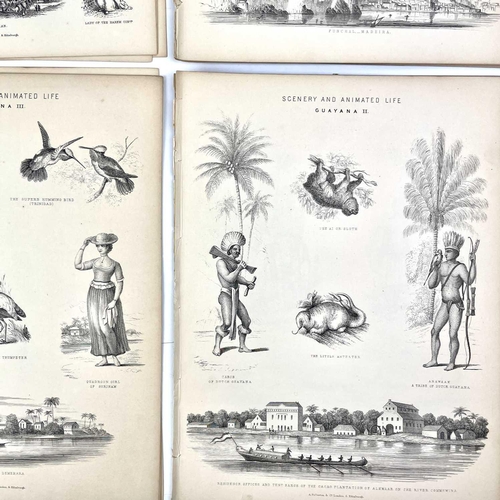 409 - MAPS and PLATES A collection of loose-leaved maps and plates from the publishers A. Fullerton & Co a... 