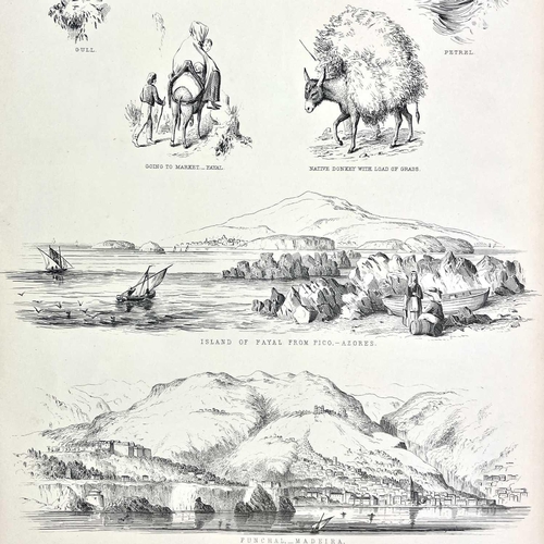 409 - MAPS and PLATES A collection of loose-leaved maps and plates from the publishers A. Fullerton & Co a... 