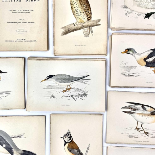 410 - ORNITHOLOGICAL Interest. 'A History of British Birds,' by Rev F. O. Morris, copious full page hand c... 