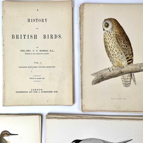 410 - ORNITHOLOGICAL Interest. 'A History of British Birds,' by Rev F. O. Morris, copious full page hand c... 