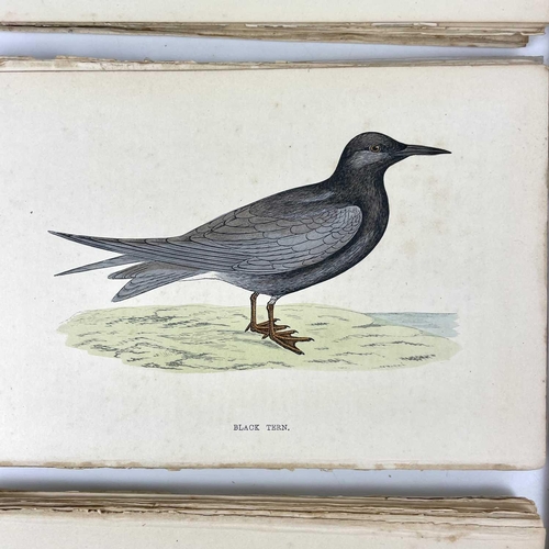 411 - ORNITHOLOGICAL Interest 'A History of British Birds,' by Rev F. O. Morris, copious full page (mostly... 