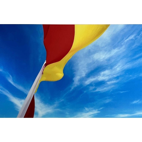 223 - Bob BERRY RNLI Flag, 2016 Acrylic photograph Signed to verso 83 x 127cm Printed by Loxley, ScotlandI... 