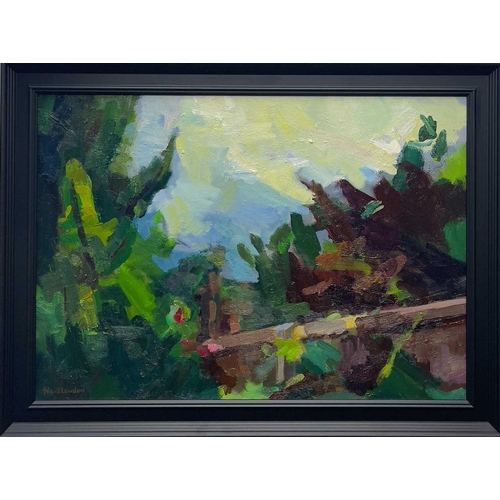 288 - Neill LOWDON From my Studio Window Oil on canvas, signed, inscribed to verso, 50x70cm