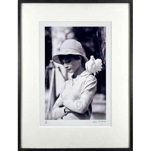 513 - Terry O'NEILL (1938-2019) Audrey Hepburn with Dove, 1966  Silver gelatin print Signed and numbered 8... 