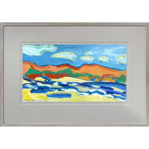 56 - Tim NEWMAN (1956) Cabo de Gata Gouache Signed and dated 2004 Further signed to verso 23 x 42cm From ... 