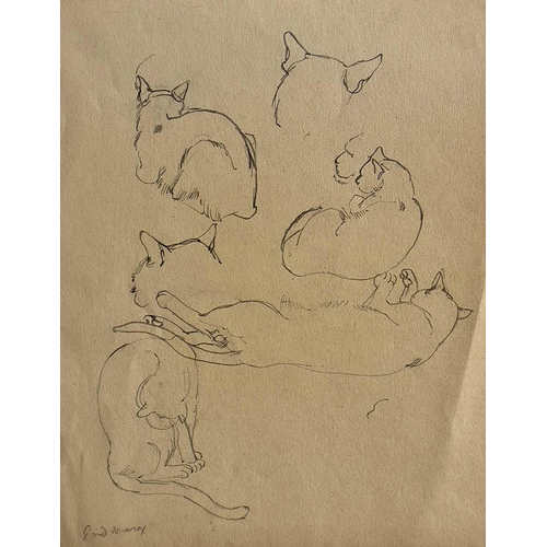 578 - Attributed to Enid Crystal Dorothy MARX (1902-1998) Cat Studies Graphite, signed, 27 x 21cm. and a s... 