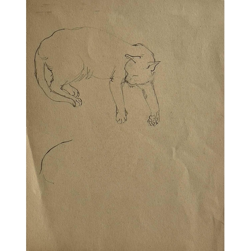 578 - Attributed to Enid Crystal Dorothy MARX (1902-1998) Cat Studies Graphite, signed, 27 x 21cm. and a s... 