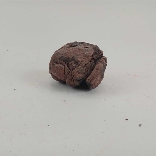 221 - A ball clay lump, used for securing a candle to a miner's helmet. Approximate diameter 6.5cm. Found ... 