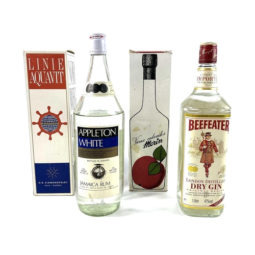 252 - A mixed assortment of bottled spirits. Including Beefeater Gin, Appleton White Rum, and Drambuie amo... 