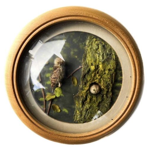 261 - H E Hervey RMS, six miniature diorama 'Nature Studies' in convex glass frames. Each titled on artist... 