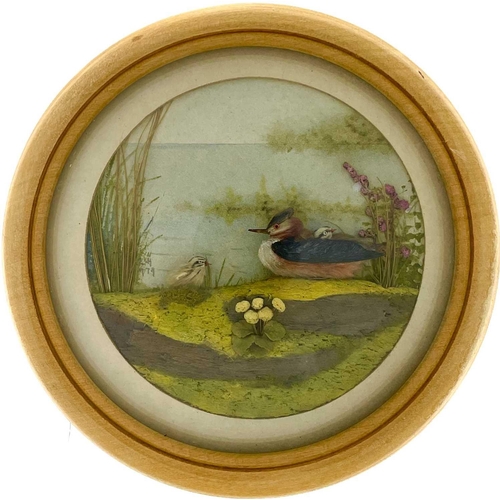 262 - H E Hervey RMS, seven miniature diorama 'Nature Studies' in convex glass frames. All bar one titled ... 