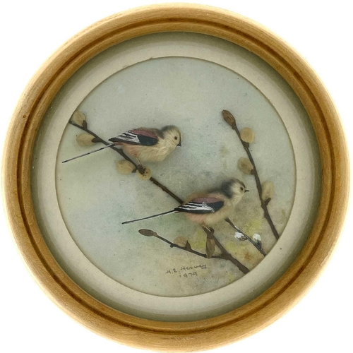 262 - H E Hervey RMS, seven miniature diorama 'Nature Studies' in convex glass frames. All bar one titled ... 