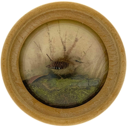 262 - H E Hervey RMS, seven miniature diorama 'Nature Studies' in convex glass frames. All bar one titled ... 