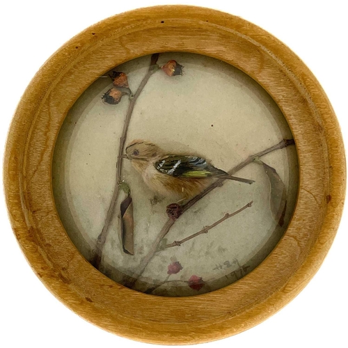 263 - H E Hervey RMS, seven miniature diorama 'Nature Studies' in convex glass frames. All bar one titled ... 