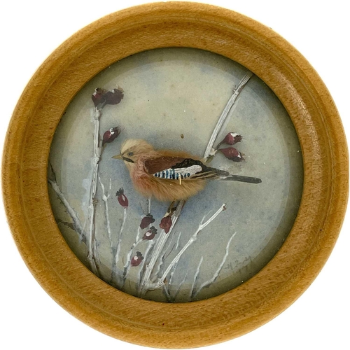 263 - H E Hervey RMS, seven miniature diorama 'Nature Studies' in convex glass frames. All bar one titled ... 