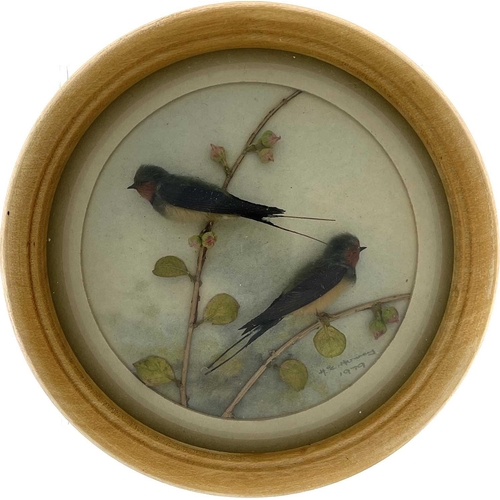 264 - H E Hervey RMS, seven miniature diorama 'Nature Studies' in convex glass frames. All titled on artis... 