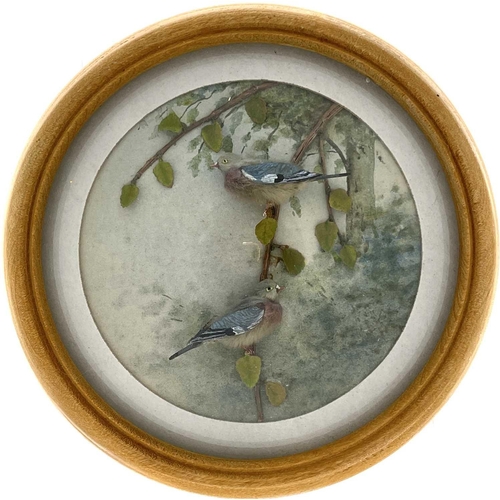 264 - H E Hervey RMS, seven miniature diorama 'Nature Studies' in convex glass frames. All titled on artis... 