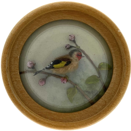 264 - H E Hervey RMS, seven miniature diorama 'Nature Studies' in convex glass frames. All titled on artis... 