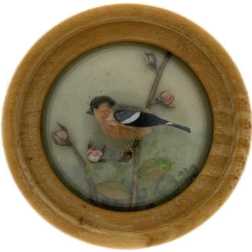 264 - H E Hervey RMS, seven miniature diorama 'Nature Studies' in convex glass frames. All titled on artis... 