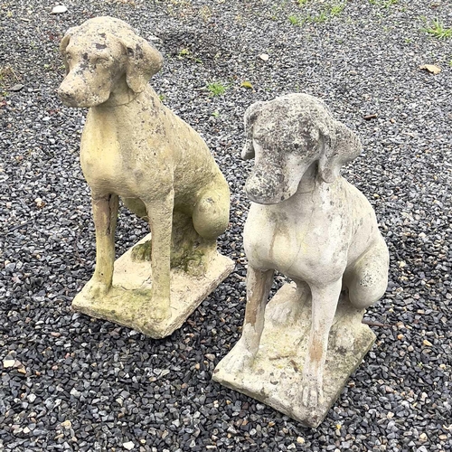 600 - A pair of reconstituted stone figures of Pointer type dogs. Height 73cm.