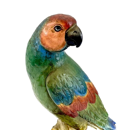 810 - A late 19th century Meissen model of a parrot perching on a branch. . Blue crossed sword marks and i... 