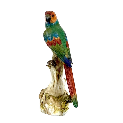 810 - A late 19th century Meissen model of a parrot perching on a branch. . Blue crossed sword marks and i... 