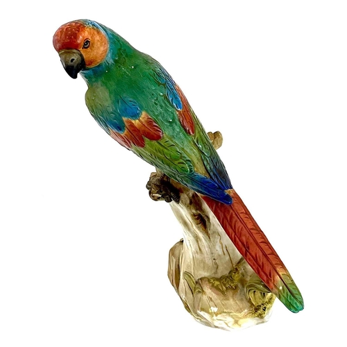 810 - A late 19th century Meissen model of a parrot perching on a branch. . Blue crossed sword marks and i... 