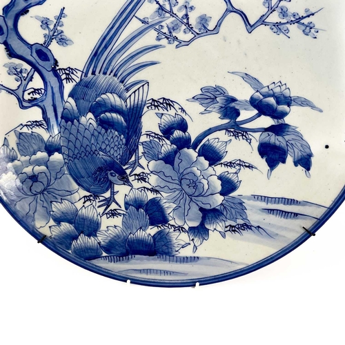 811 - A Japanese Arita blue and white charger. Circa 1900, painted with a pheasant beside a prunus tree an... 