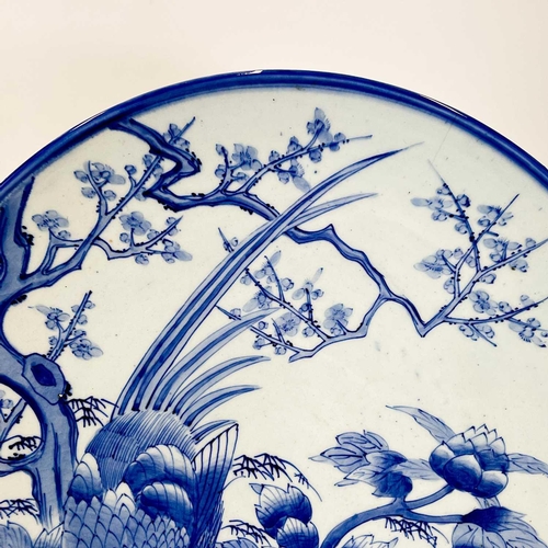 811 - A Japanese Arita blue and white charger. Circa 1900, painted with a pheasant beside a prunus tree an... 