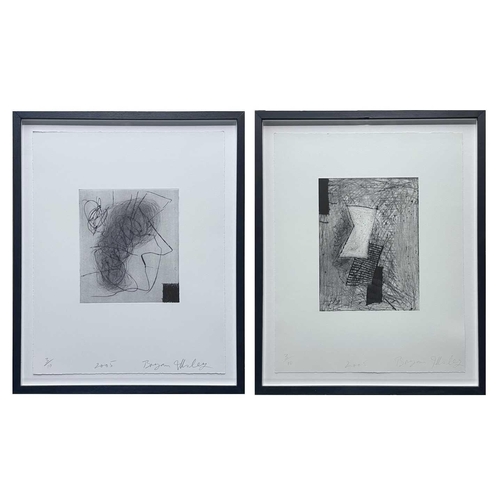 110 - Bryan ILLSLEY (1937) Two etchings from The Hoxton Suite, 2005 Each signed, dated 2005 and numbered 3... 