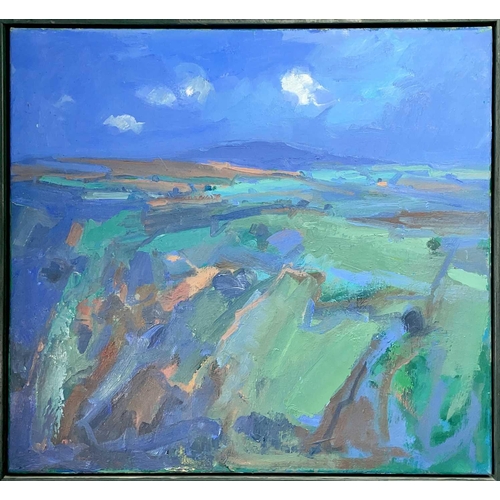 171 - John MILLER (1931-2002) Penwith Landscape Oil on canvas, Hilton Gallery Bath label verso, 61 x 66cm.... 