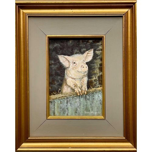 284 - Nigel HALLARD 1936-2020) A Piglet at the Low door Oil on board, signed,18 x 12.5cm.This is in excell... 