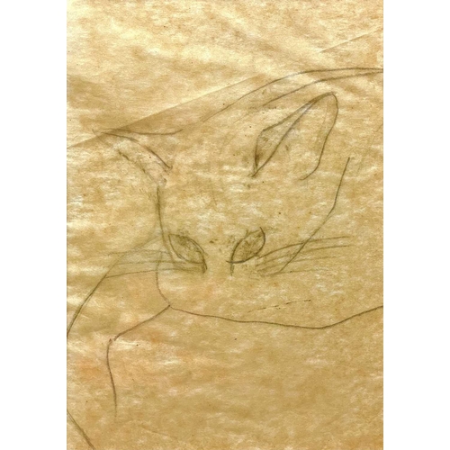 287 - Hyman SEGAL (1914-2004) Study of a Cat Pencil on tracing paper, 19.5 x 14cm.