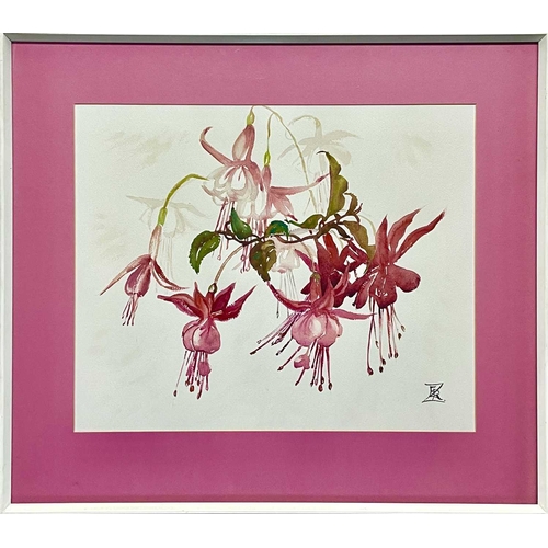 302 - Rosemary ZIAR (1919-2003) Fuchsia's Watercolour, monogrammed, 40 x 48cm.