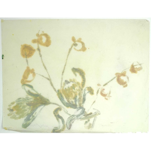 529 - Stella SHAWZIN (1923-2020) A collection of seven loose figurative and botanical works Mixed media, s... 