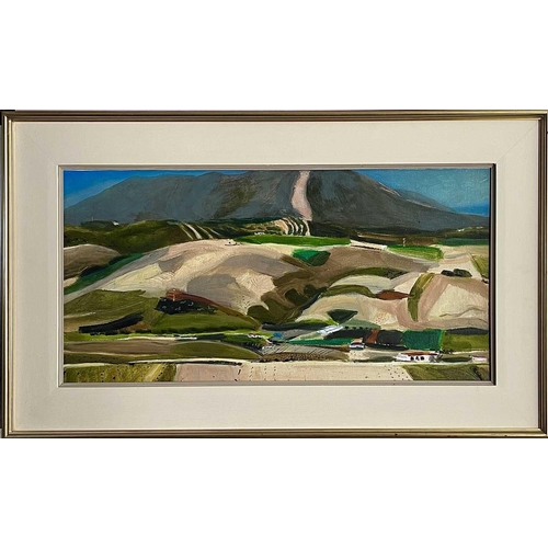 559 - David Ralph SIMPSON (1963) Untitled landscape Oil on board, signed and dated '93, 36 x 72.5cm.