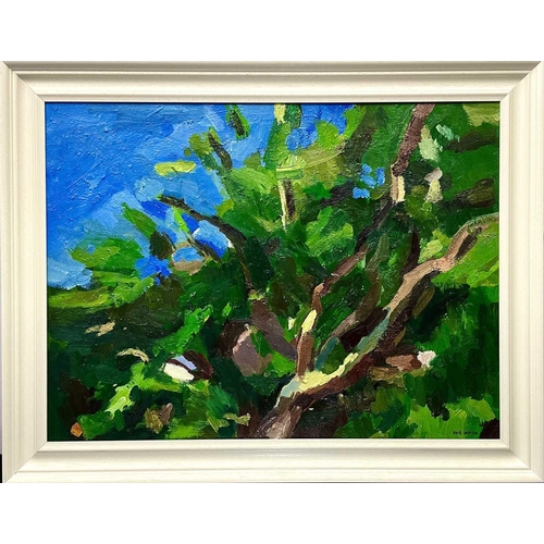 603 - Neill LOWDON Garden Oil on board, signed, 59x79cm