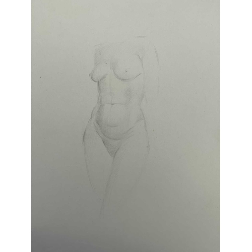 605 - Bernard NINNES (1899-1971) Seated nude Graphite on paper, 56 x 38cm. Together with fifteen other loo... 