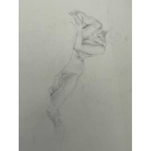 605 - Bernard NINNES (1899-1971) Seated nude Graphite on paper, 56 x 38cm. Together with fifteen other loo... 