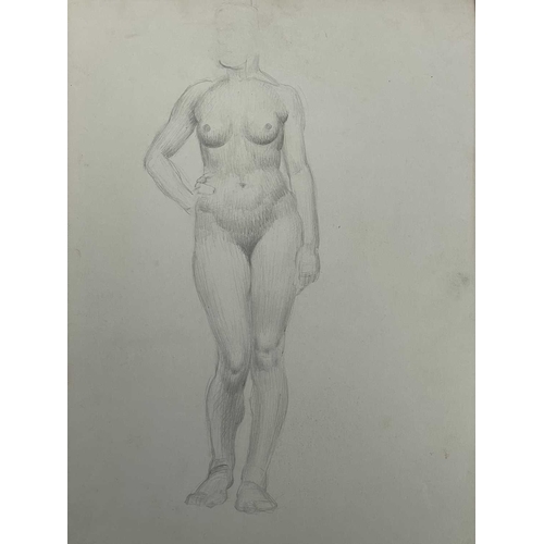 605 - Bernard NINNES (1899-1971) Seated nude Graphite on paper, 56 x 38cm. Together with fifteen other loo... 