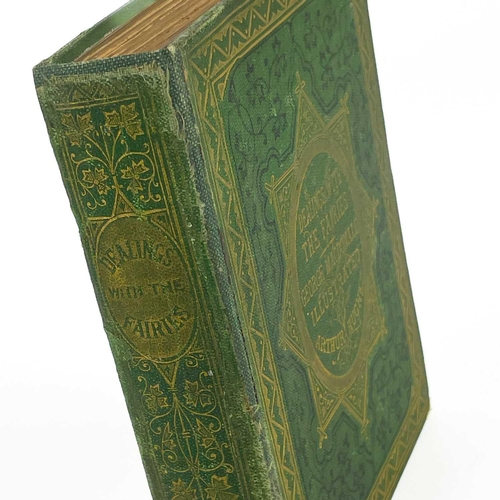 54 - GEORGE MACDONALD Illustrations. 'Dealings With Fairies,' second edition, original green cloth with o... 