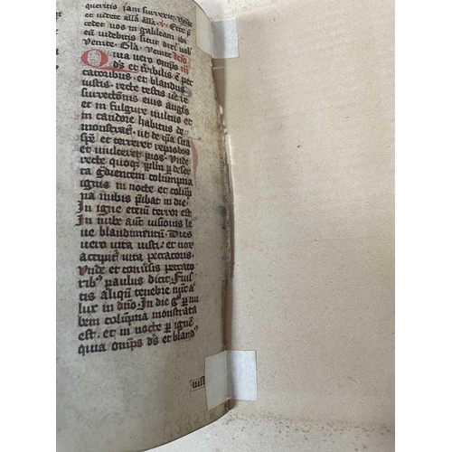 241 - BREVIARY, use of Cologne, 14th Century. [A manuscript vellum leaf from a Breviary, use of Cologne. N... 