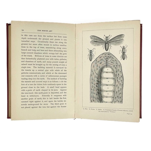 306 - Two works on the Nile and one other. EUSTACE A. REYNOLDS-BALL. 'The City of the Caliphs: A Popular S... 