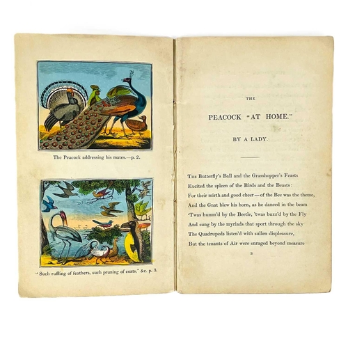 312 - A LADY (Catherine Ann Dorset Turner), & Mr ROSCOE. 'The Peacock at Home,' and 'ButterflysBall: An Or... 