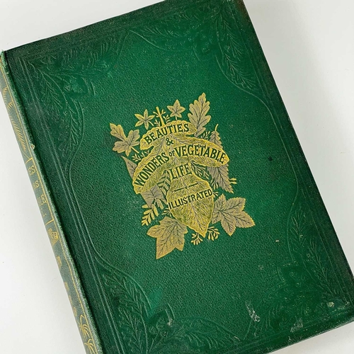 329 - Eleven 19th century illustrated works on horticulture and botany. EDITH WADDY. 'A Year with the Wild... 