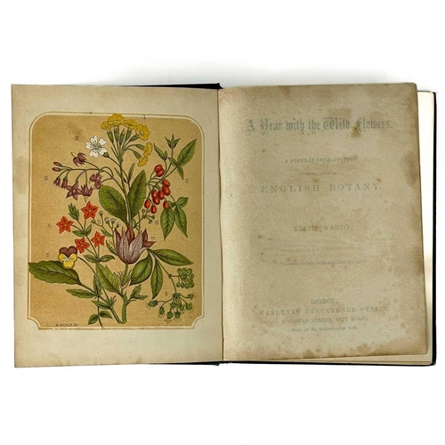 329 - Eleven 19th century illustrated works on horticulture and botany. EDITH WADDY. 'A Year with the Wild... 