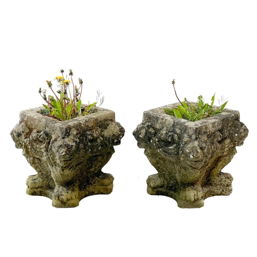 223 - A pair of concrete planters. Cast with lion heads to the angles, Height 35cm, width 34cm, depth 34cm... 