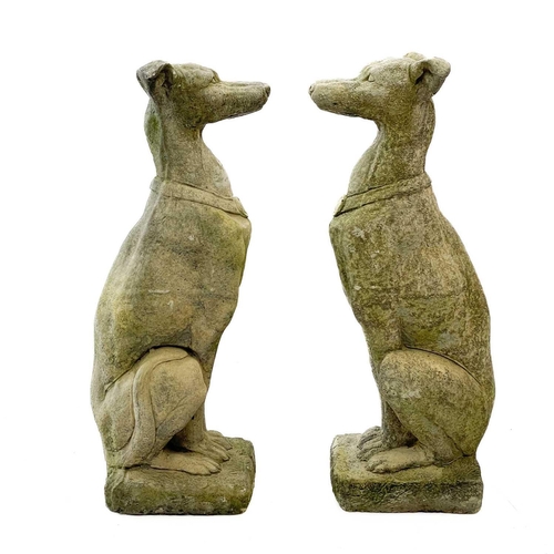 234 - A pair of reconstituted stone figures of whippets. Height 75cm, width 23cm, depth 27cm.