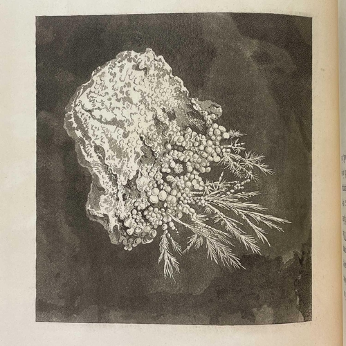 12 - Philip Rashleigh (1729-1811). 'Specimens of British Minerals,' 'Selected from the Cabinet of Philip ... 